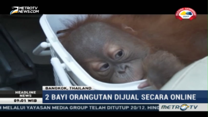 Polisi Thailand Tangkap Pedagang Satwa Liar