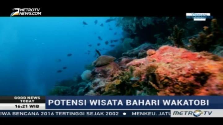 Mengunjungi Surga Wisata Selam Indonesia