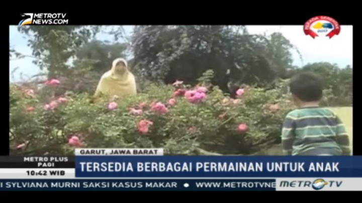 Kebun Mawar Situhapa Sajikan Beragam Bunga dan Tanaman Langka