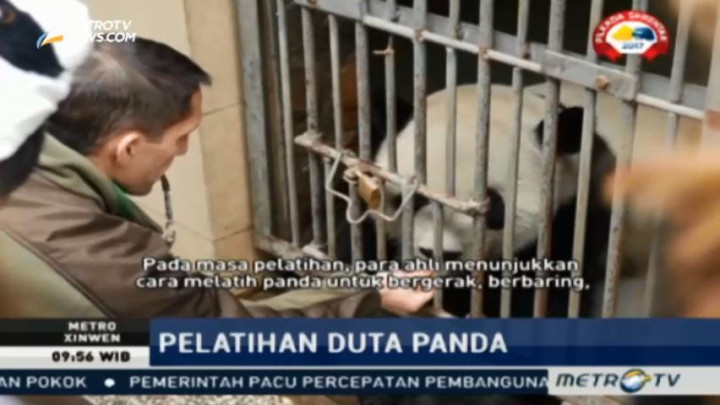 Pelatihan Duta Panda