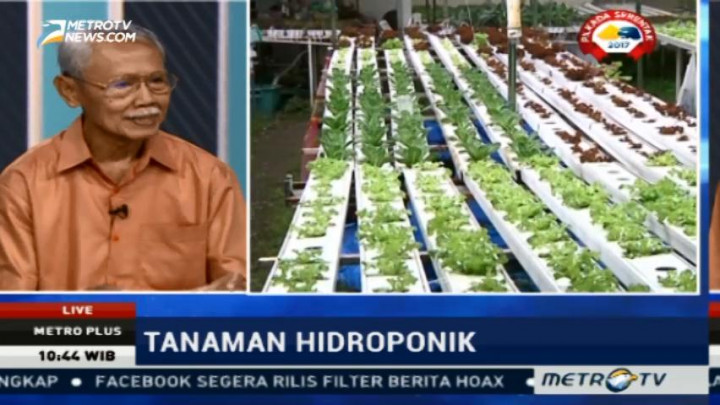 Cara Bertani Tanaman Hidroponik (1)