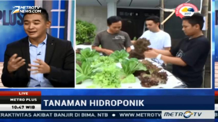 Cara Bertani Tanaman Hidroponik (2)