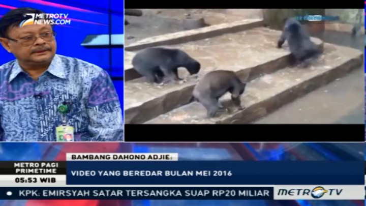 Kementerian LHK Telah Dua Kali Beri Sanksi kepada Kebun Binatang Bandung