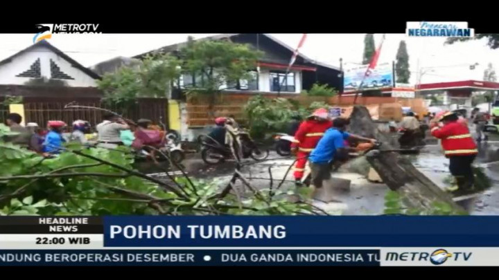 Hujan Disertai Angin Tumbangkan Sejumlah Pohon di Tulungagung