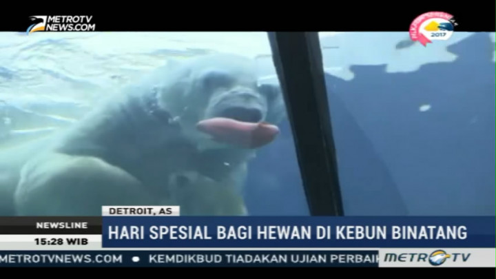 Valentine di Kebun Binatang Detroit