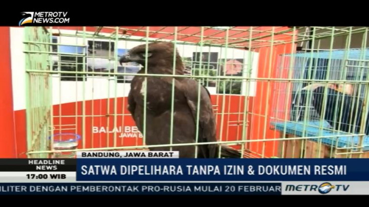 BBKSDA Jabar Sita 16 Satwa Dilindungi dari Tempat Wisata