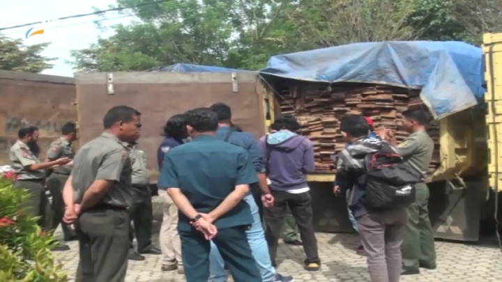 Petugas Amankan Tiga Truk Pengangkut Kayu Hasil <i>Illegal Logging</i>