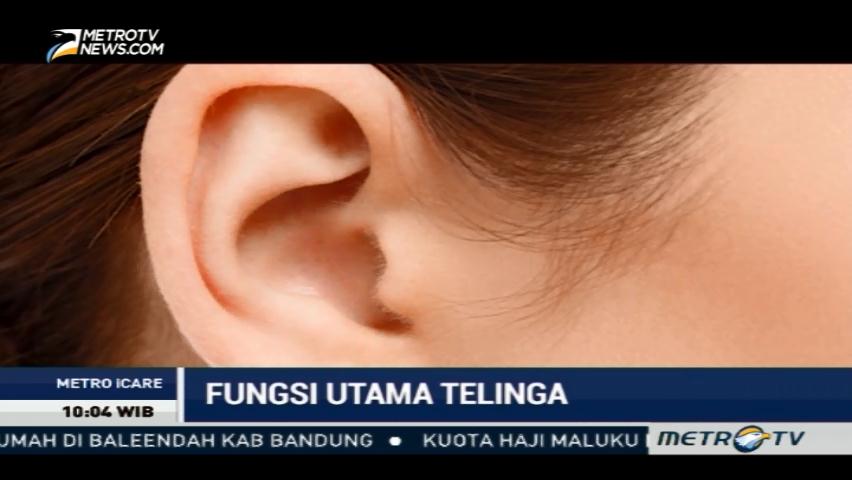 Mengenal Fungsi Utama dari Telinga