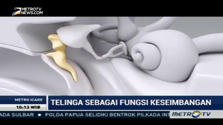 Fungsi Telinga dalam Menjaga Keseimbangan Tubuh