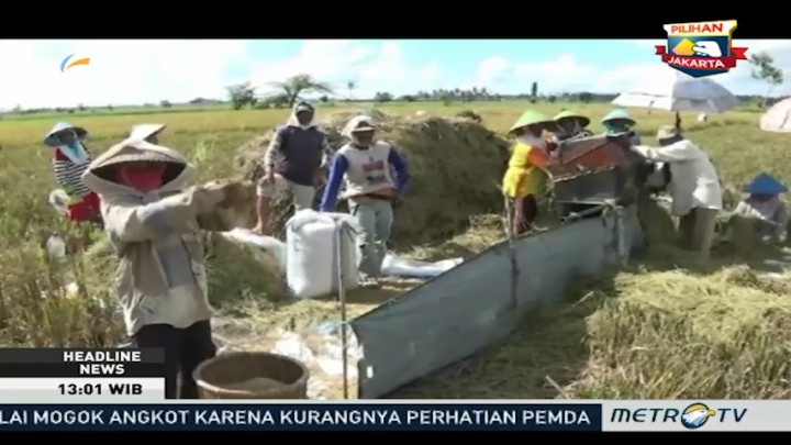 Bulog Banyuwangi Siap Serap Gabah Segala Kondisi