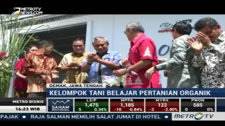 Kelompok Tani di Demak Belajar Kembangkan Sistem Pertanian Organik