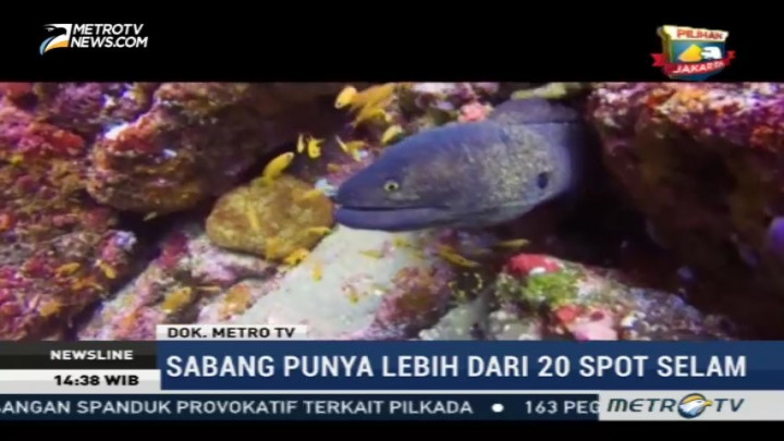 Berikut Spot Menyelam Terbaik di Indonesia