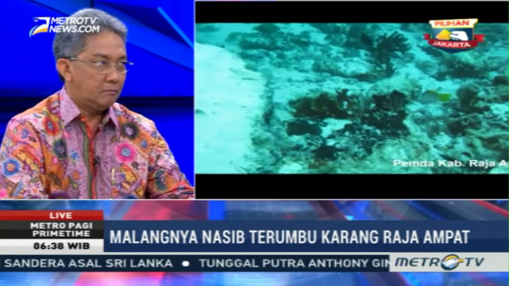 Nasib Malang Terumbu Karang Raja Ampat (2)