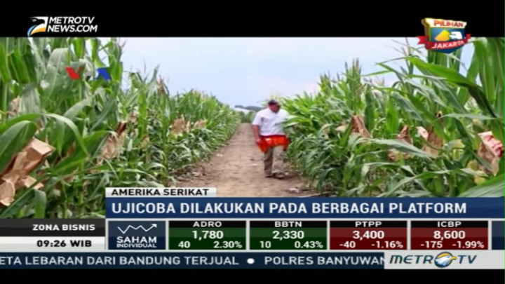 Teknologi Pemantau Tanaman Industri dengan Drone