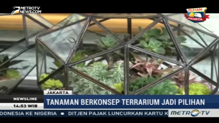 Asyiknya Berkebun di Rumah