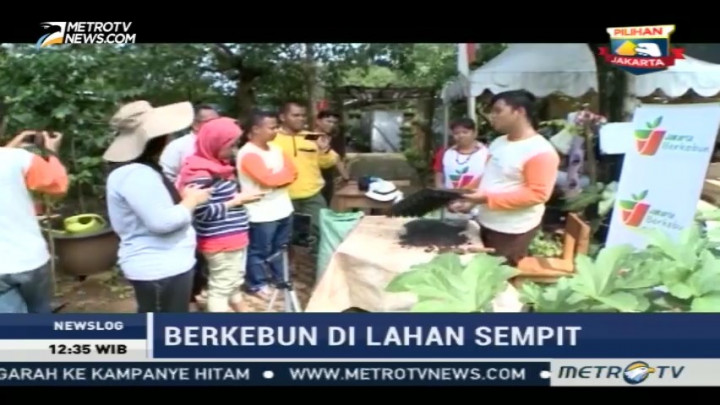 Belajar Berkebun di Lahan Sempit