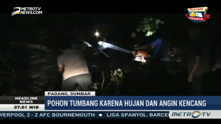 Pohon Tumbang di Padang Lukai Pengendara Motor