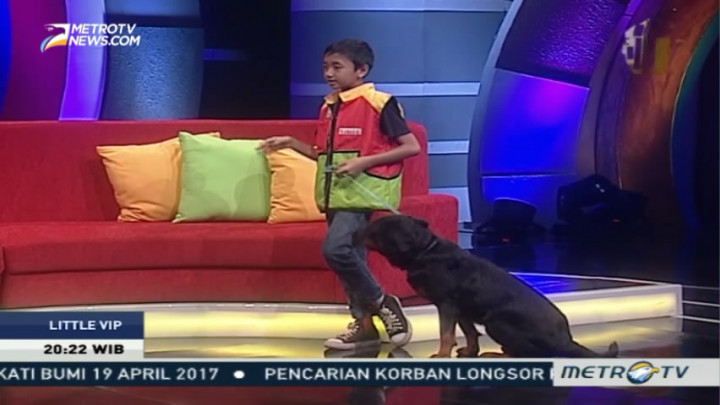 Putra Kanaan Berbagi Tips Melatih Anjing