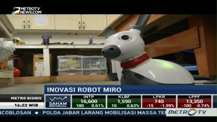 Robot Miro, Teman Bagi Lansia dan Penderita Disabilitas