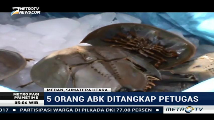 Polda Sumut Gagalkan Upaya Penyelundupan Satwa Dilindungi