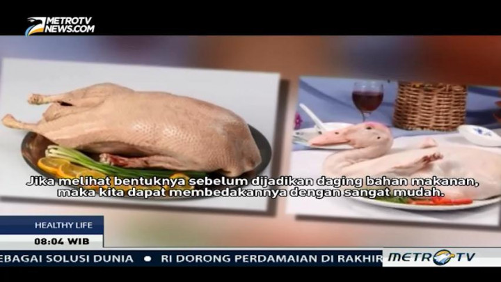 Mengetahui Kandungan Nutrisi dalam Daging Bebek dan Angsa