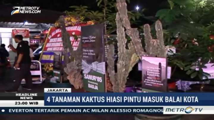Ahok-Djarot Terima Kiriman Kaktus Karang Seharga Rp10 Juta