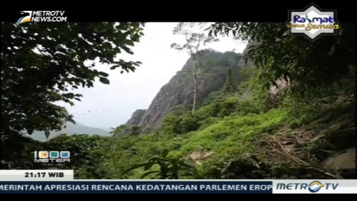 Gunung Batu yang Hijau (2)