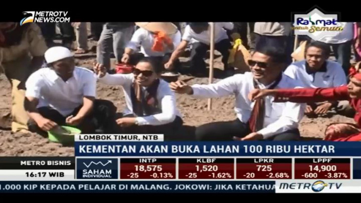 Kementan akan Buka 100 Ribu Hektar Lahan untuk Swasembada Bawang Putih