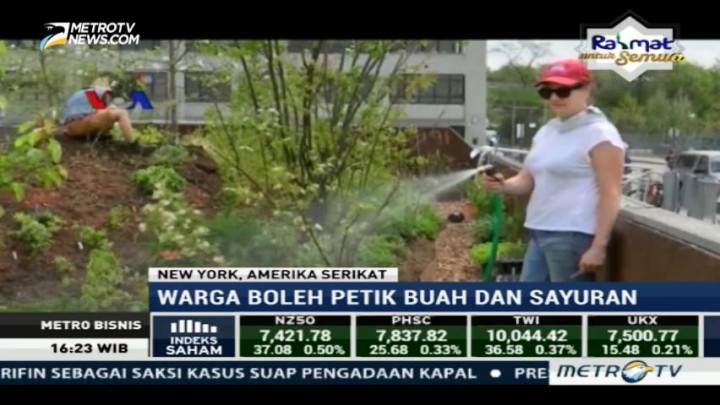 Kebun Terapung, Alternatif Baru Berkebun Warga New York