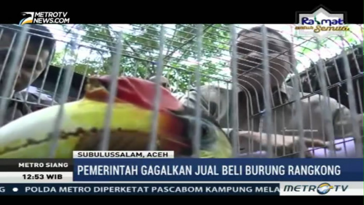 Pemda Subulussalam Lepaskan Burung Rangkong ke Habitat Asli