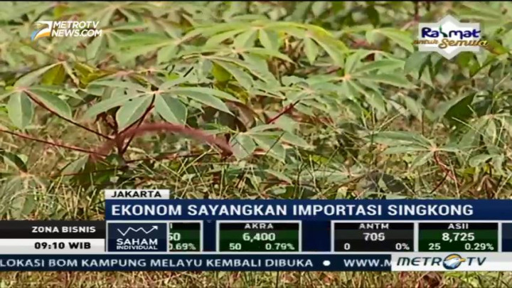 Produksi Melimpah, Indonesia Masih Impor Singkong dari Vietnam