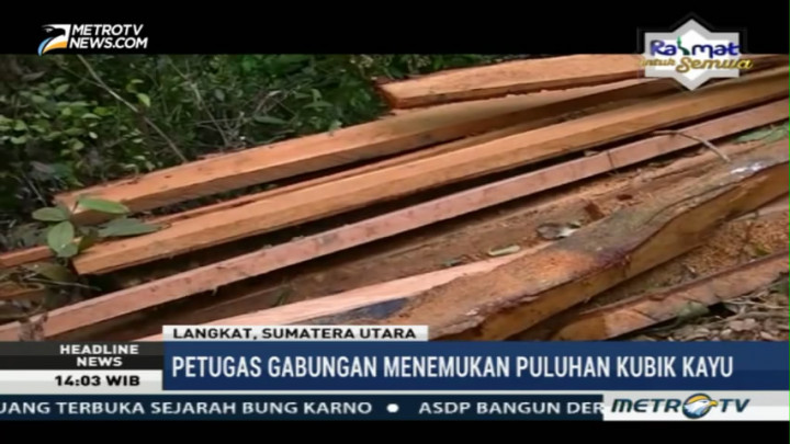 Puluhan Kubik Kayu Hasil Pembalakan Liar Ditemukan di Langkat