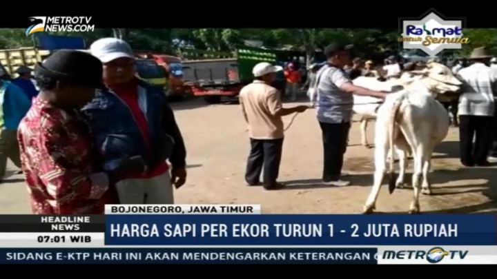 Sepi Peminat, Harga Sapi di Bojonegoro Turun
