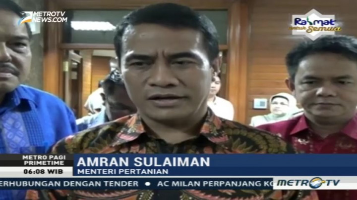 Kementan Minta Bulog Beli Bawang Merah dari Petani