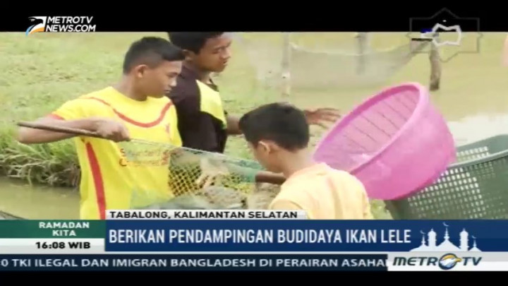 Melihat Budidaya Ikan Lele Pesantren Al Islam Tanjung