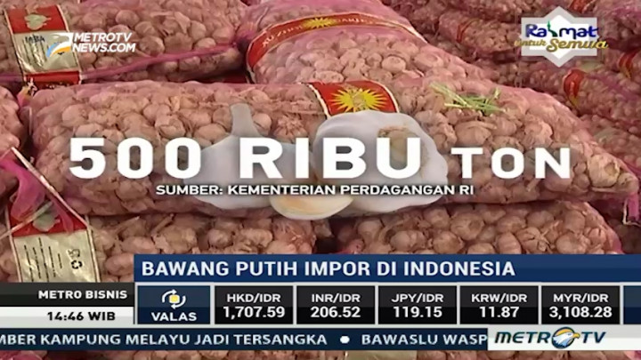 25 Ribu Ton Bawang Putih Impor akan Masuk Indonesia