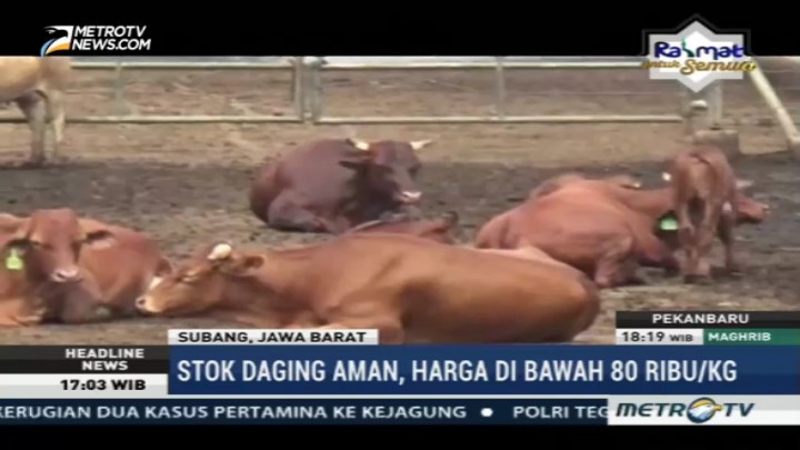Mendag Janji Harga Daging Sapi di Bawah Rp80 ribu/kg