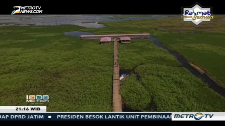 Menanti Limboto Sehat Kembali (2)