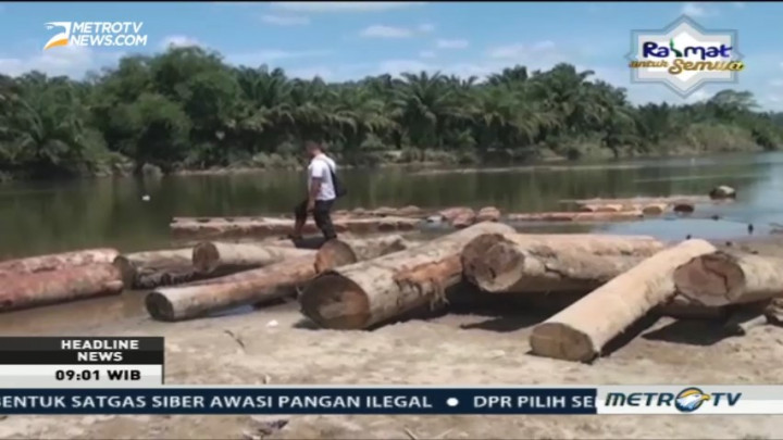 KPH Amankan 10 Ton Kayu Ilegal yang Dihanyutkan Lewat Sungai