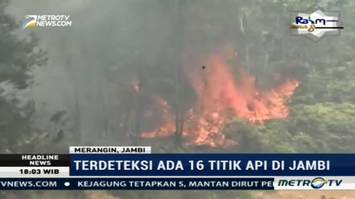 Enam Hektare Lahan di Jambi Diduga Sengaja Dibakar