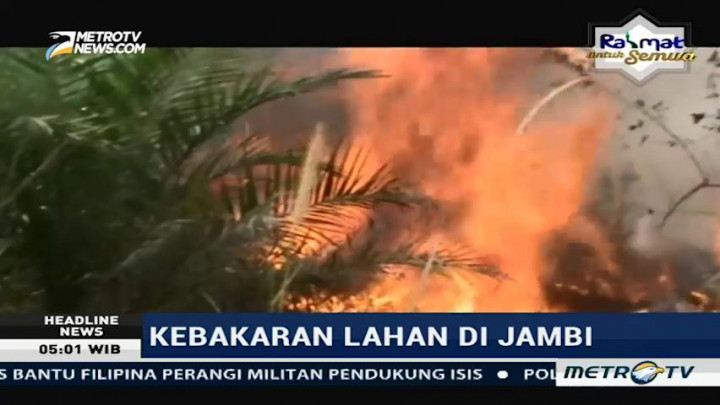 Enam Hektare Lahan Kosong di Merangin Terbakar