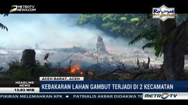 Puluhan Hektare Lahan Gambut di Aceh Barat Terbakar