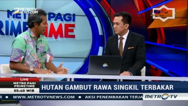 Kebakaran Sering Terjadi di Hutan Rawa Singkil Aceh, Ini Penyebabnya