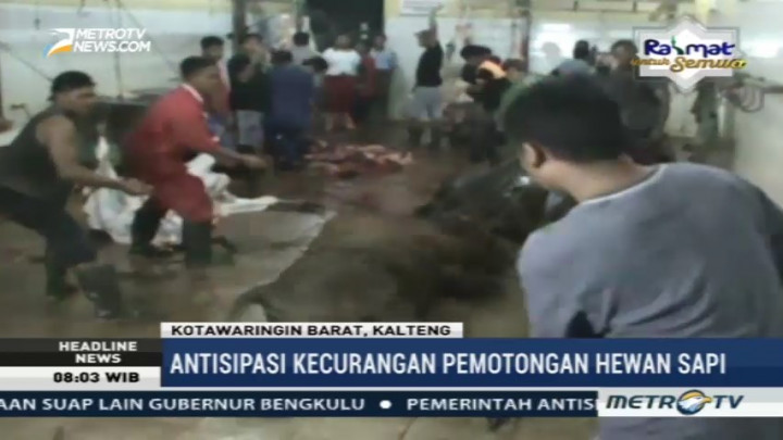 Muspida Waringin Barat Sidak Rumah Potong Hewan