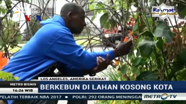 Kebun Masyarakat Urban di Tengah Kota Los Angeles