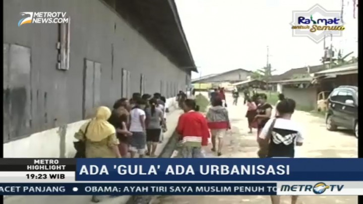 Ada 'Gula' Ada Urbanisasi