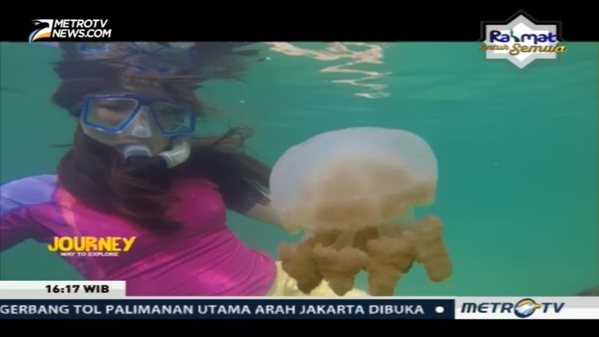Journey: Pulau Maratua (2)
