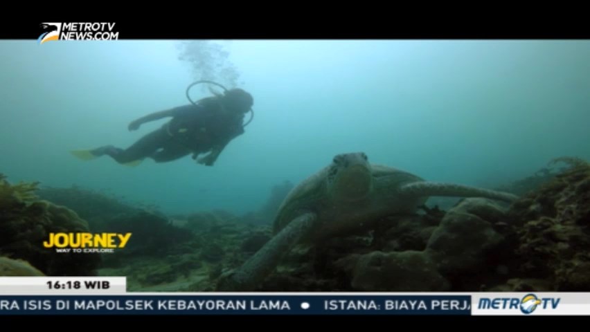 Journey: Pulau Derawan (2)