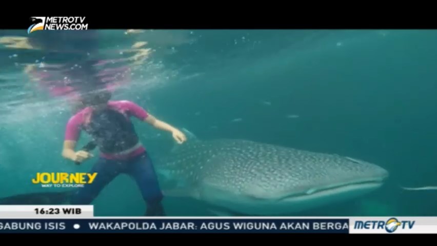 Journey: Pulau Derawan (3)