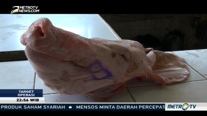 Modus Daging Oplosan (3)